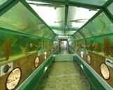 morskoi-akvarium-v-anape